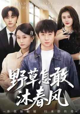野草怎敢沐春风在线观看
