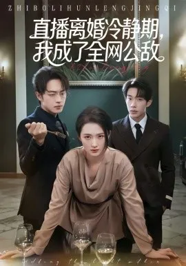 直播离婚冷静期,我成了全网公敌在线观看