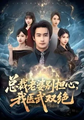 总裁老婆别担心，我医武双绝在线观看