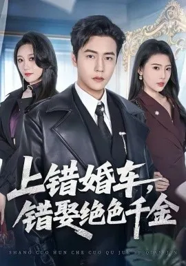 上错婚车,错娶绝色千金在线观看