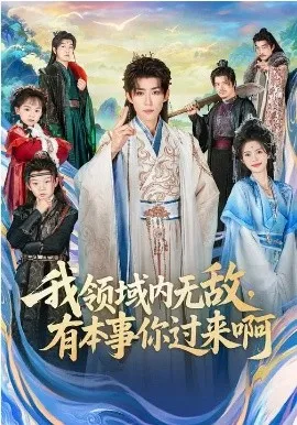 我领域内无敌，有本事你过来啊在线观看