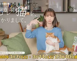 我收留了前男友的猫在线观看