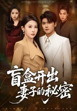 盲盒开出妻子的秘密在线观看