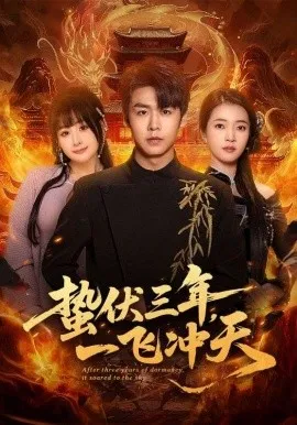 蛰伏三年,一飞冲天在线观看