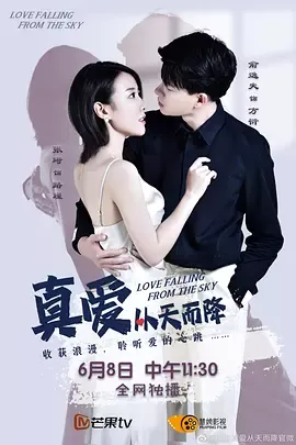 真爱从天而降 第一季在线观看