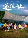 逆流而上在线观看