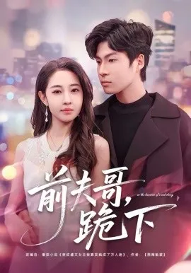 前夫哥,跪下在线观看