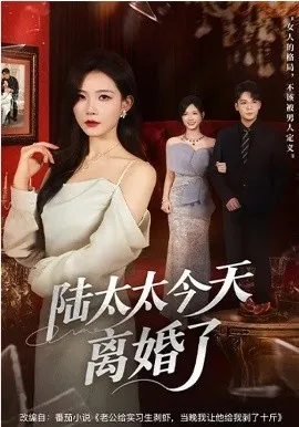 陆太太今天离婚了在线观看