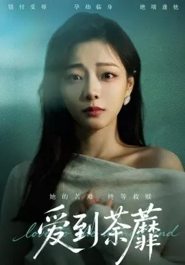 爱到荼蘼在线观看