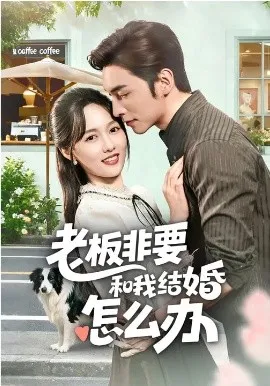老板非要和我结婚怎么办在线观看