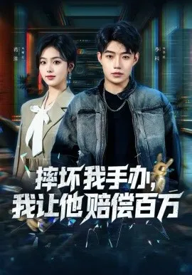 摔坏我手办，我让他赔偿百万在线观看