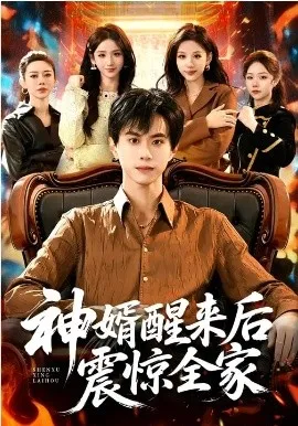 神婿醒来后震惊全家在线观看