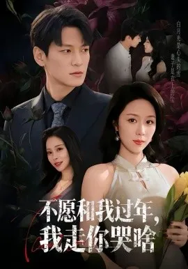 不愿和我过年,我走你哭啥在线观看