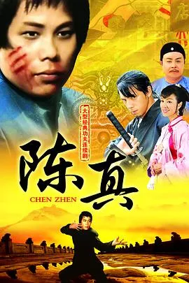 陈真国语在线观看