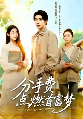 分手费点燃首富梦在线观看