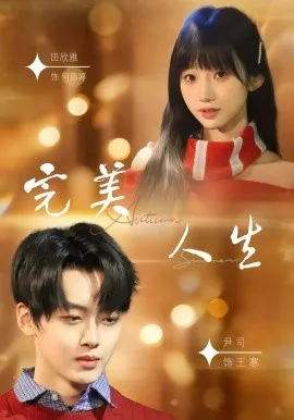 完美人生在线观看