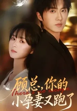 顾总，你的小孕妻又跑了在线观看