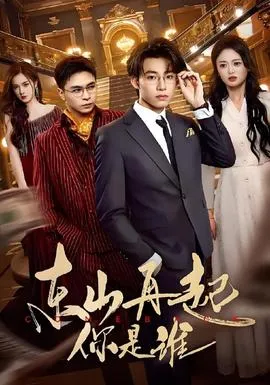 东山再起你是谁在线观看