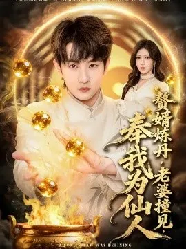 赘婿炼丹，老婆撞见，奉我为仙人在线观看