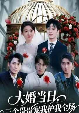 大婚当日，三个哥哥宠我护我全场在线观看