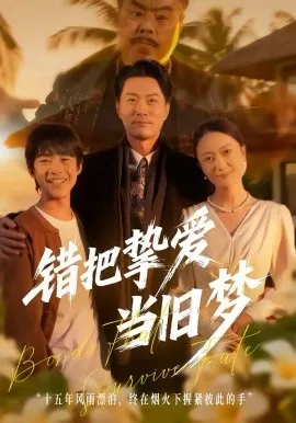 错把挚爱当旧梦在线观看