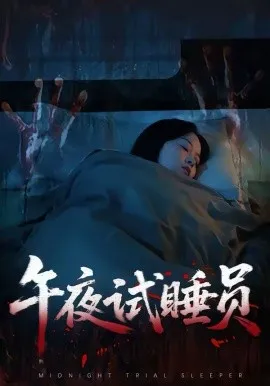 午夜试睡员在线观看