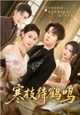 寒枝待鹤鸣在线观看