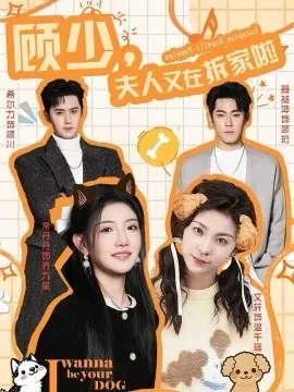 顾少,夫人又在拆家啦在线观看