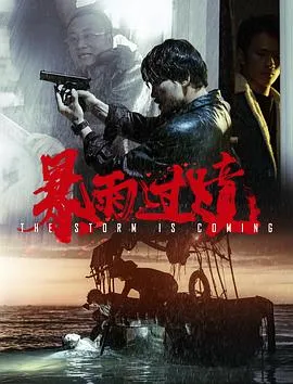 暴雨过境在线观看