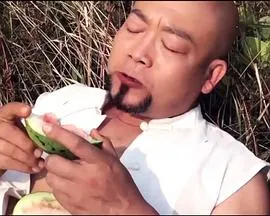 长城大侠在线观看