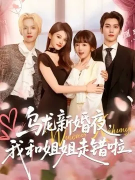 乌龙新婚夜，我和姐姐走错啦在线观看