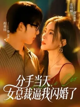 分手当天，女总裁逼我闪婚了在线观看