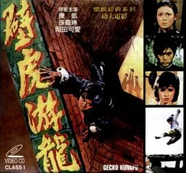 壁虎遊龍在线观看