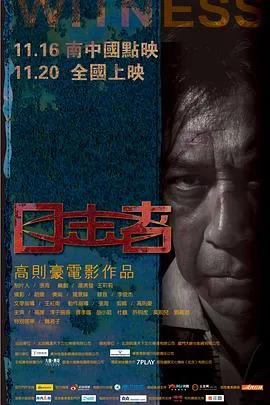 目击者2012在线观看