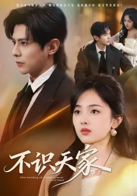 不识天家在线观看