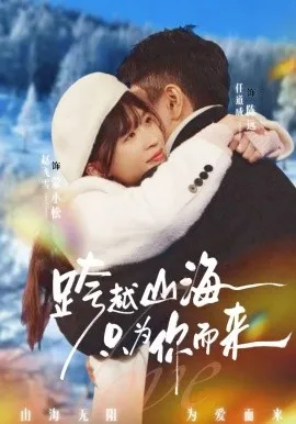跨越山海只为你而来在线观看