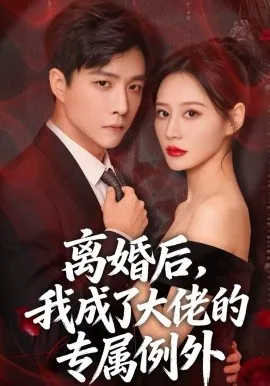 离婚后，我成了大佬的专属例外在线观看