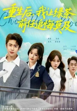 重生后,我让绿茶前任追悔莫及在线观看