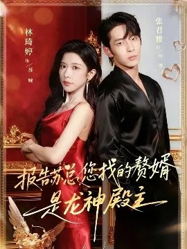 报告苏总，您找的赞婿是龙神殿主在线观看