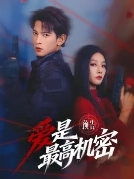 爱是最高机密在线观看