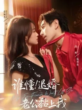 谁懂！退婚老公黏上我在线观看