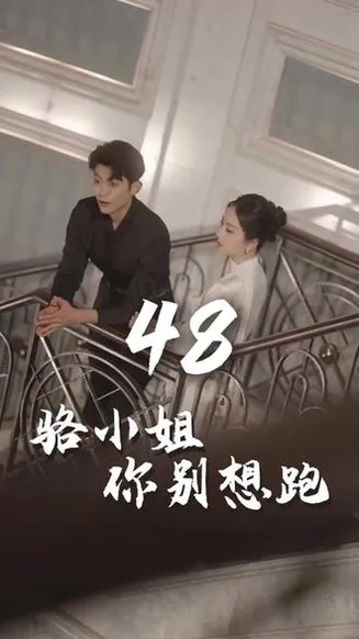 骆小姐你别想跑在线观看
