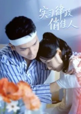 实习律政俏佳人在线观看