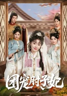 团宠肘子妃在线观看