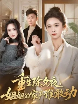 重生除夕夜，姐姐的家产谁敢动在线观看