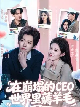 在崩塌的CEO世界里薅羊毛在线观看