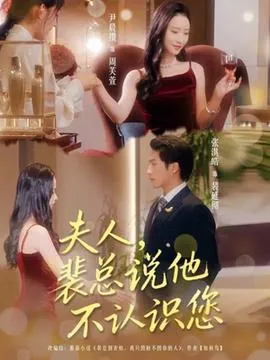 夫人裴总说他不认识您在线观看