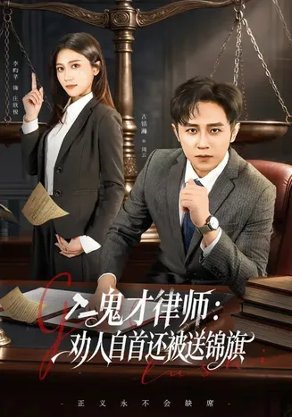 鬼才律师，劝人自首还被送锦旗在线观看