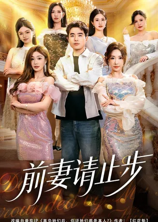 前妻请止步在线观看
