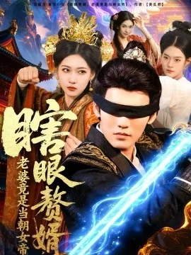 瞎眼赘婿,老婆竟是当朝女帝在线观看